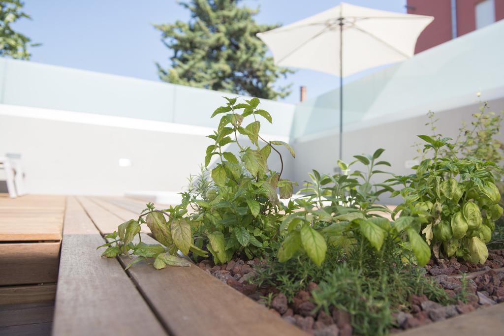 Villa Danex Premium Umag Exterior foto